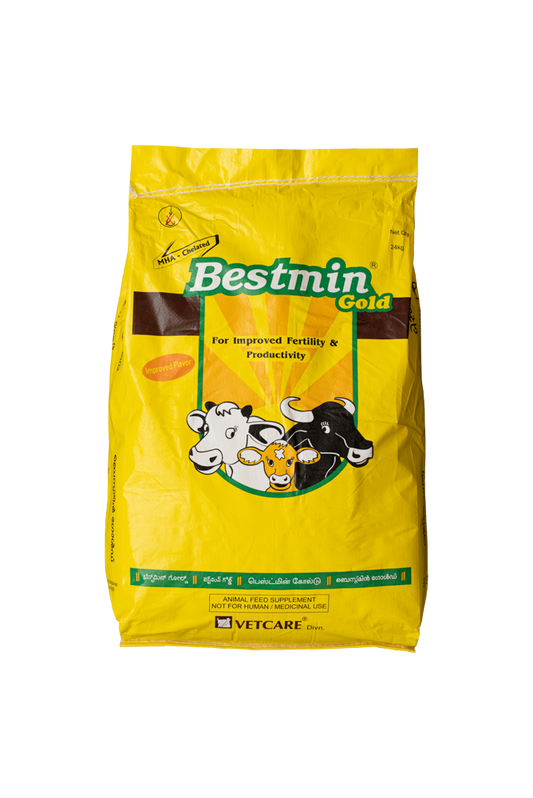 BESTMIN GOLD