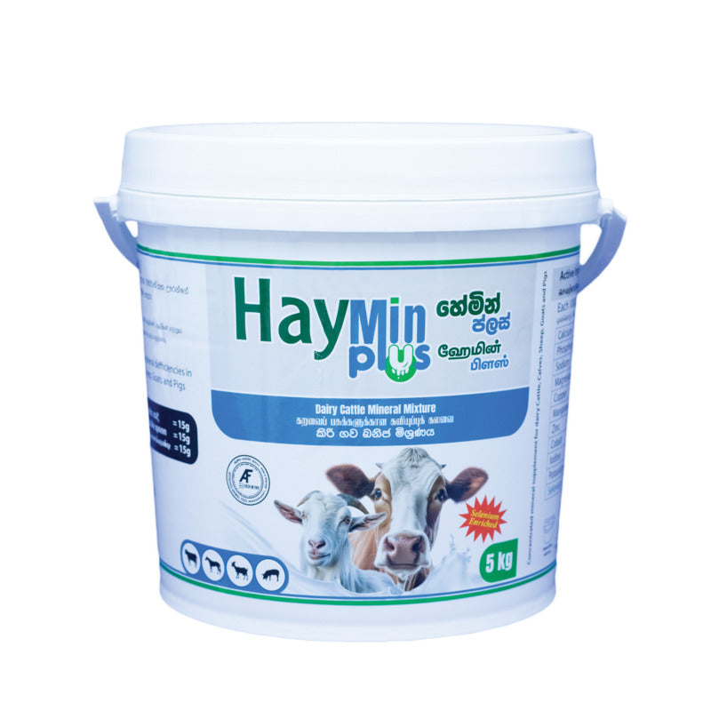 HAYMIN PLUS