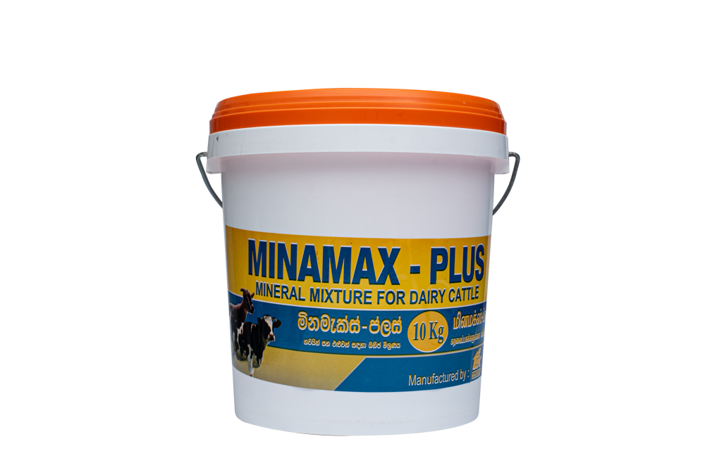 MINAMAX