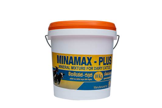 MINAMAX